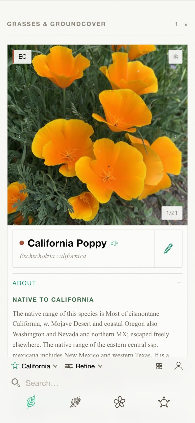 A plant's page in the app: California poppy, with its photographs, description and where it grows